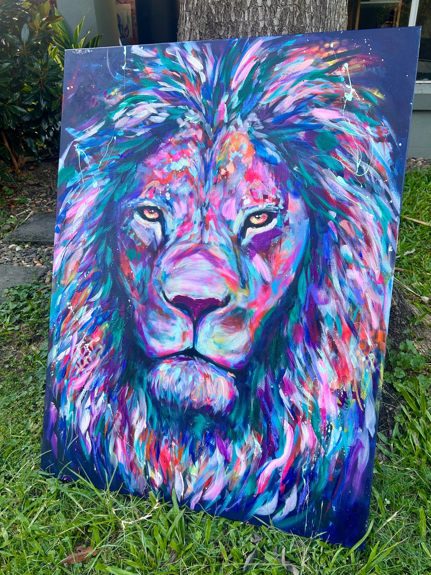 Lion Study